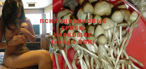 гидропоника Майский