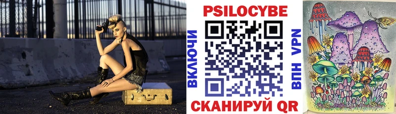 закладка  Томилино  Галлюциногенные грибы прущие грибы 